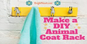 Perfect DIY coat rack for kids rooms, or just for fun.