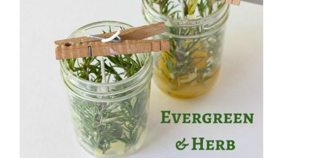 How to make your own herb candles.