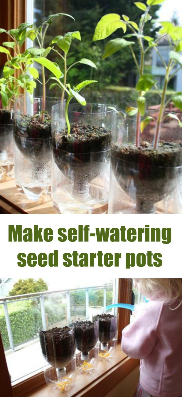 Start your seeds and make sure they get the exact water they need with this easy to make self-watering seed starter pots DIY. I love recycling things for use in the garden.