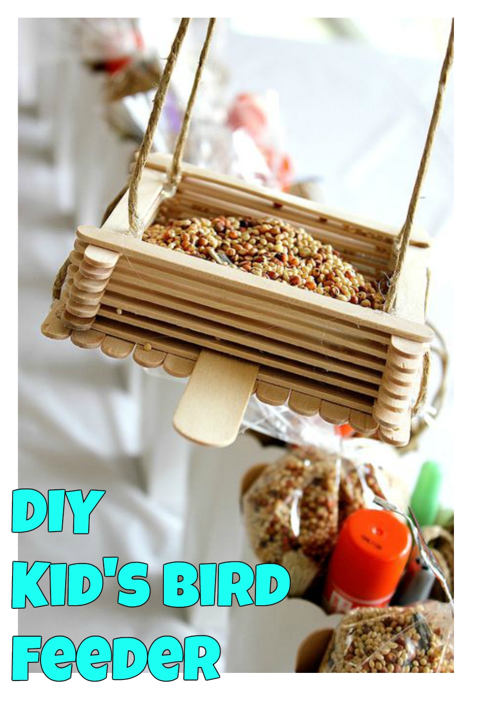 DIY Kids Bird Feeder