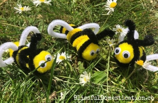 How to Make a Pipe Cleaner Bee from Blissful Domestication