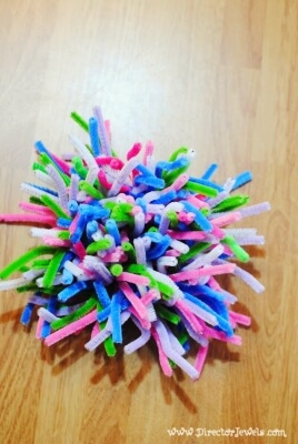 Sea Anemone Pipe Cleaner Craft from Director Jewels