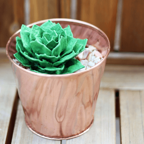 Egg Carton Succulent by Bliss Bloom Blog