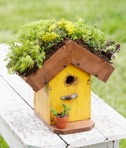 DIY Living-Rood Birdhouse by Midwest Living