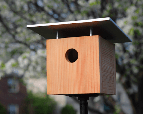 Modern DIY Birdhouse by Curbly