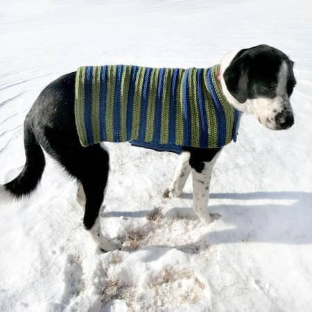 Easy Adjustable Dog Sweater Crochet Pattern by Crochet Spot Patterns