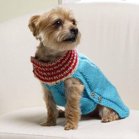 Holiday Dog Sweater Knitting Pattern by Yarnspirations