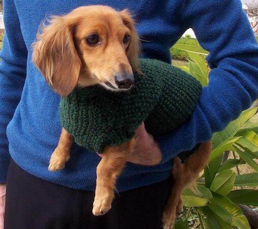Seed Stitch Dog Sweater Knit Pattern by Lena's Legacy Hand Knits