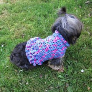 41 Dog Sweater Patterns | Crochet and Knitting