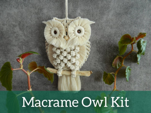 Owl Wall Hanging Macrame Kit from DIYmacrameStore