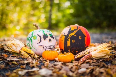 8 Best Paint for Pumpkins for 2025 6 paint for pumpkins