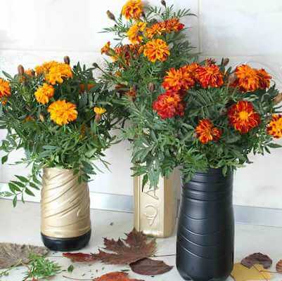 DIY Plastic Bottle Flower Vase by The Seaman Mom