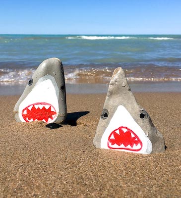 Shark Painted Stones by Sustain My Craft Habit