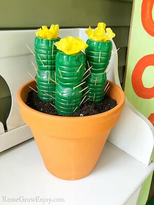 Water Bottle Cactus Craft by Reuse Grow Enjoy