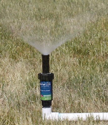 DIY Above Ground PVC Sprinkler for Kids System by The Crafty Blog Stalker