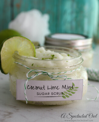 Coconut Lime Mint Sugar Body Scrub by A Spectacled Owl