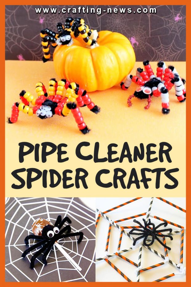 PIPE CLEANER SPIDER CRAFTS