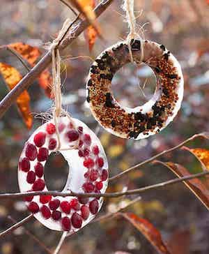 DIY Birdseed Ice Ornaments by Hello Glow