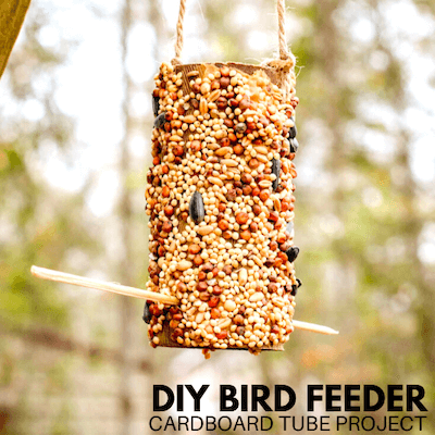 Cardboard Tube Bird Feeder by Little Bins Little Hands