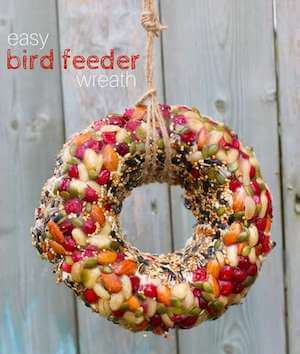 Easy Bird Feeder Wreath by Sugar, Spice And Glitter