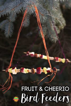 Fruit And Cheerios Bird Feeder by Happy Hooligans