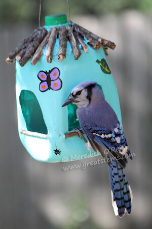 Milk Jug Bird Feeders by Great Stems