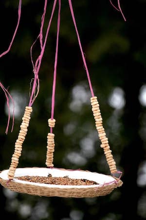 Paper Plate Bird Feeder For Kids To Make by Happy Hooligans