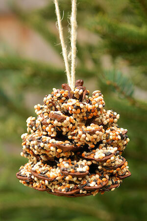 Pinecone Bird Feeders by One Little Project