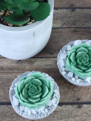 Succulent Bath Bombs by Your Beauty Blog
