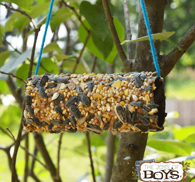 Toilet Paper Roll Bird Feeder by The Joys Of Boys