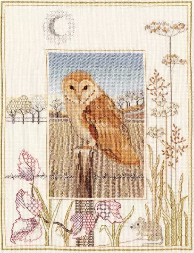 Derwent Wildlife Barn Owl Cross Stitch Kit by John Lewis