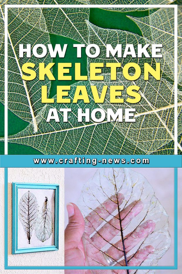 HOW TO MAKE SKELETON LEAVES AT HOME FREE WRITTEN TUTORIAL