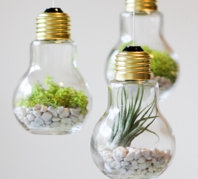 21 Light Bulb Craft Ideas - Crafting News