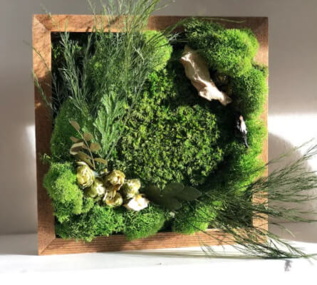Make Your Own Moss Art Kits for Adults from NaturelyBox