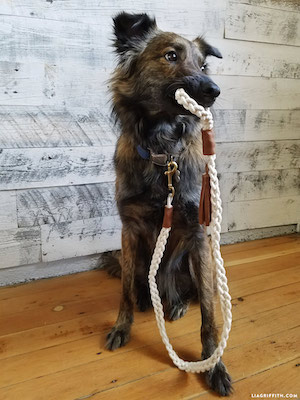 Correa de perro de cuerda trenzada de macramé DIY de Lia Griffith