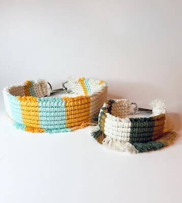 Macrame Color Block Dog Collar from Dreamin Bohemian Co