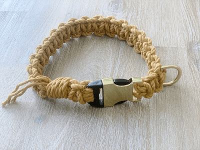 Macrame Dog Collar Pattern by Jenny Lemons