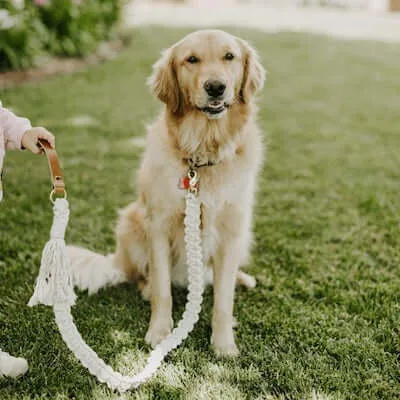 10 Macrame Dog Collars, Leashes, and Leads Patterns 9 Macrame Dog Leash DIY Kit by Jenny Lemons