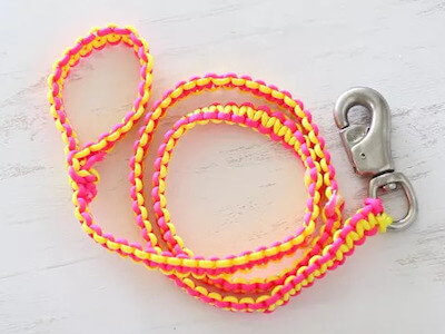 Macrame Dog Leash by Cuteness