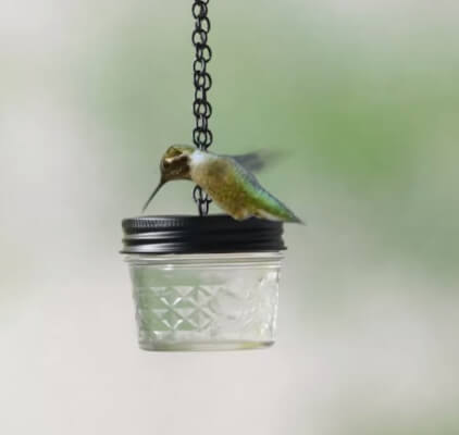 Alimentador de colibríes de bricolaje con un tarro de conservas de Better Homes & Gardens