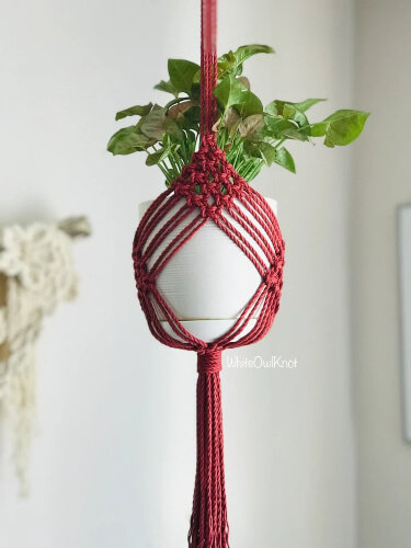 DIY Rope Plant Hanger Pattern by WhiteOwlKnot