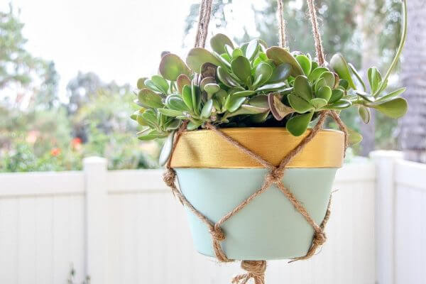 DIY Rope Plant Hanger Tutorial by Make and Takes