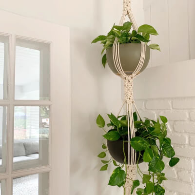 Double Round Mesh Macrame Rope Plant Hanger Pattern by ReformFibres