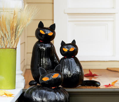 Black Cat O' Lanterns by Sunset