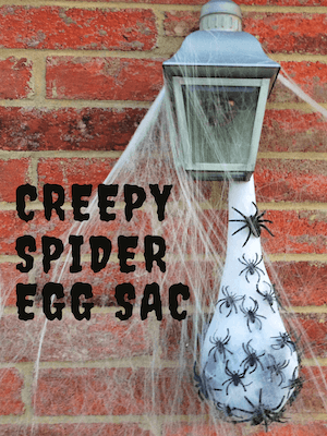 Creepy Spider Egg Sac by The Tip Toe Fairy