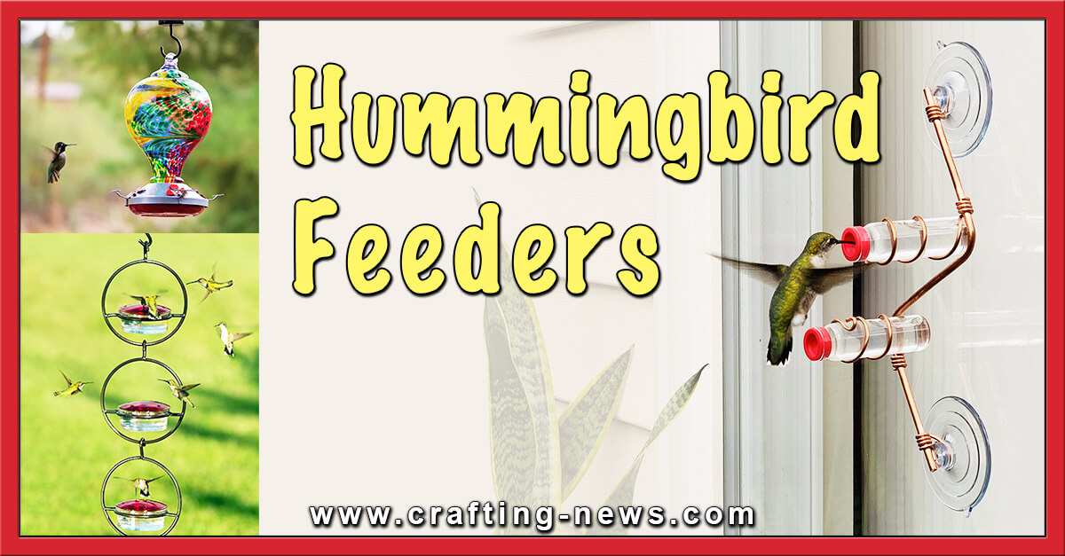 Best Hummingbird Feeders for 2024