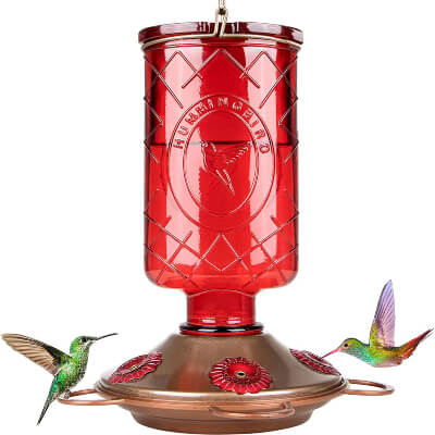BOLITE Glass Hummingbird Feeder