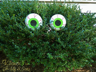 Spooky Bush Eyes DIY Halloween Yard Decoration from Kitchen Fun