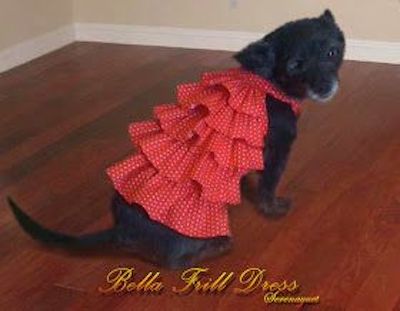 Bella Frill Dress Pattern by A One Stop Shop