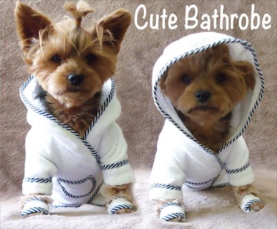 Dog Bathrobe Pattern by Zoe And Leo Digitals